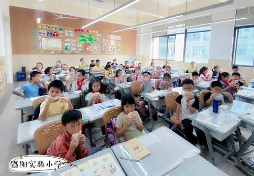 双减政策下的温度与深度 记暨阳实验小学教育集团联盟课后服务与教育咨询服务