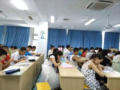 深度揭秘巨人教育小升初课程及服务流程 教育咨询全解析